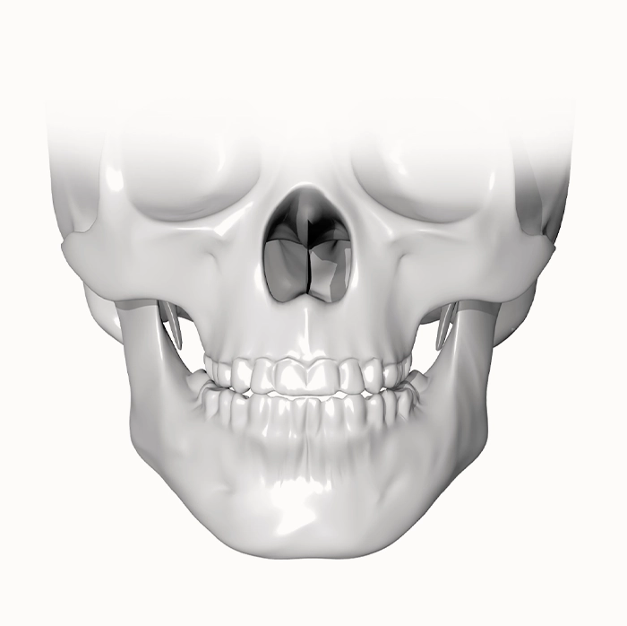 Skull anatomy for plastic surgery. 345 plastic surgery where natural.