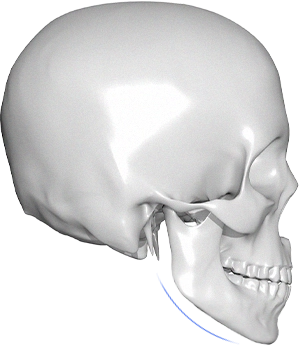 345 Plastic Surgery where natural Skull anatomy for plastic surgery. Cranial bone structure.