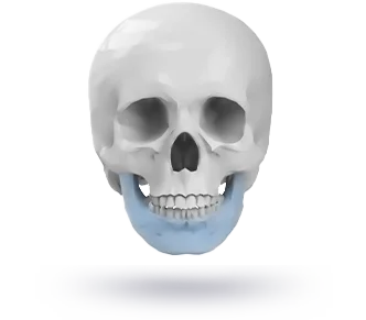 Human skull with highlighted blue jawbone.