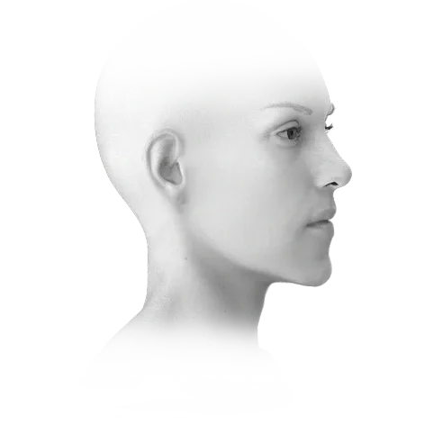 Woman's face profile for 345 plastic surgery where natural results are the goal.