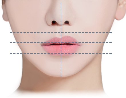 Face with grid lines for 345 plastic surgery where natural results are achieved.