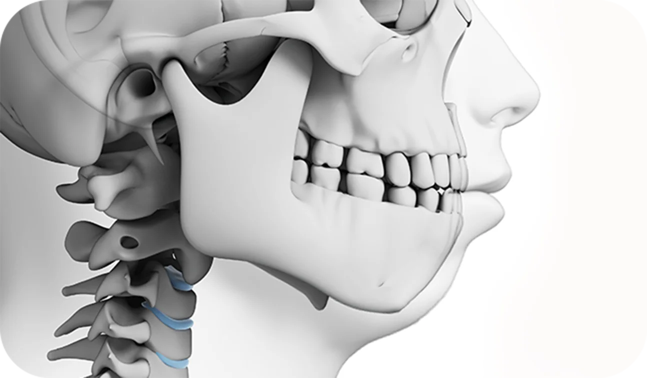 Human skull anatomy for plastic surgery where natural 345.