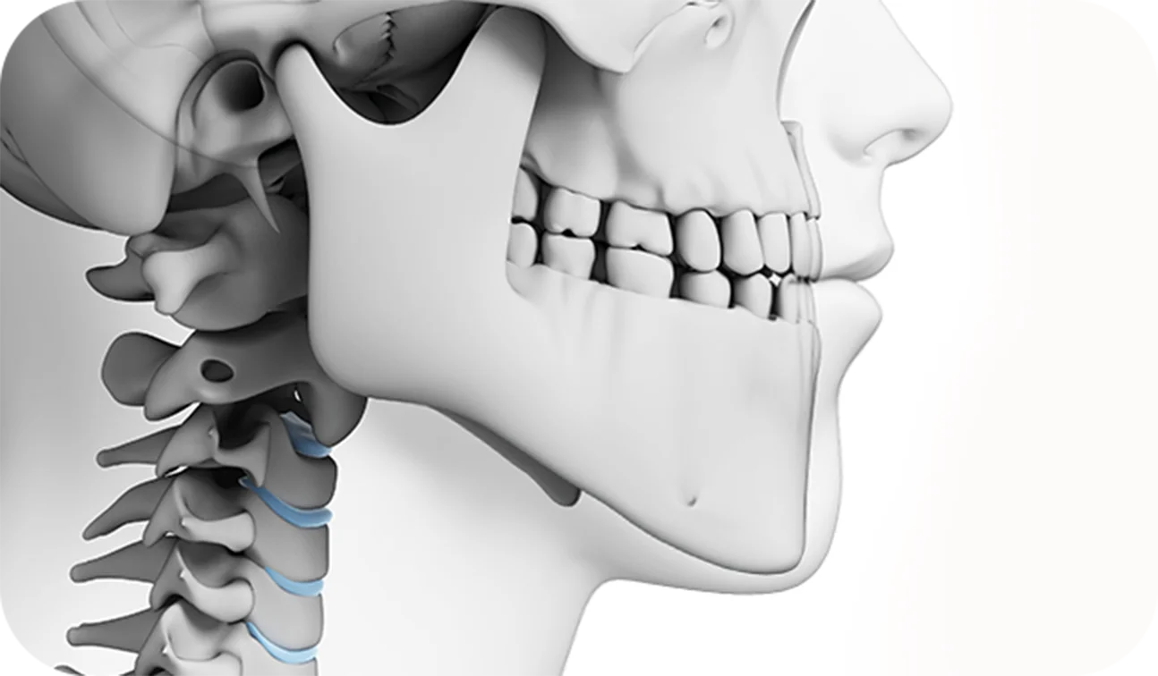 Jawline neck anatomy for plastic surgery 345. Plastic Surgery where natural.