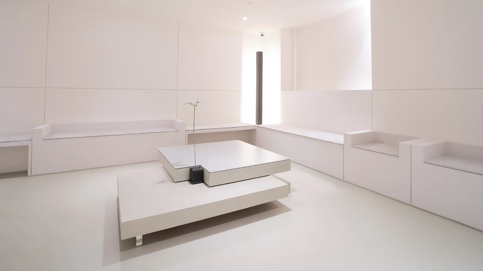 Minimalist waiting room for 345 Plastic Surgery where natural results are the goal.