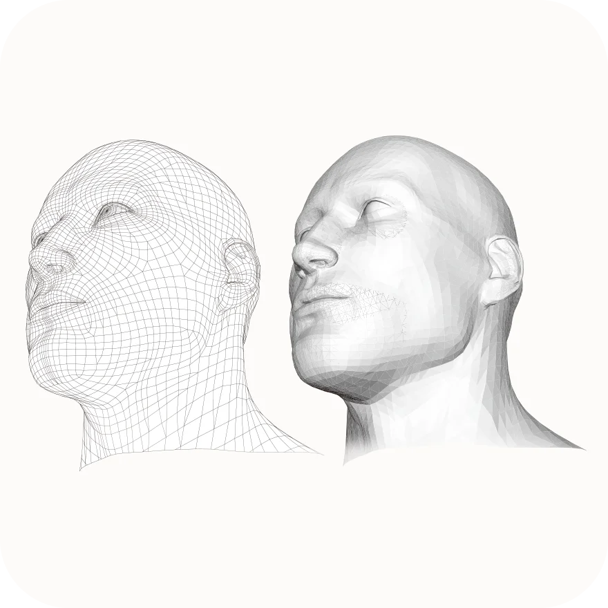 3D wireframe and shaded human head models