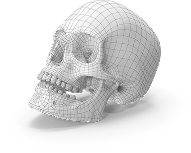 3D wireframe skull model illustration