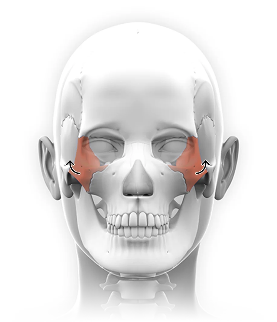 Cheek augmentation illustration for 345 plastic surgery where natural results are the goal.