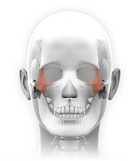 345 Plastic Surgery zygomatic bone reduction for natural facial reshaping.