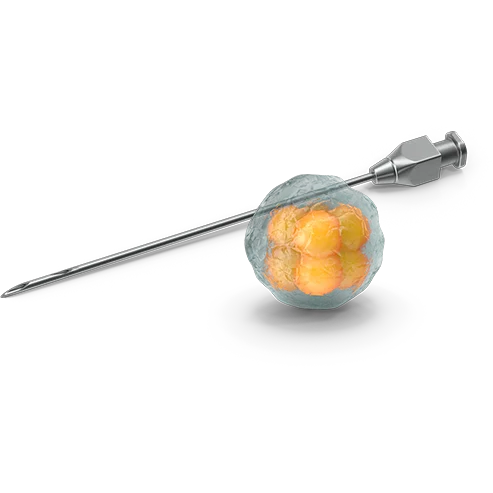 345 Plastic surgery where natural fat cell injection. Needle entering cell for plastic surgery.