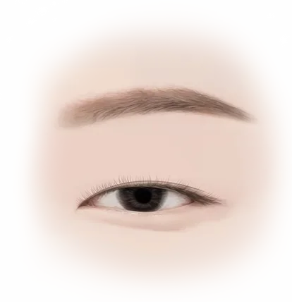 Close-up of an eye and eyebrow. 345 Plastic Surgery where natural.