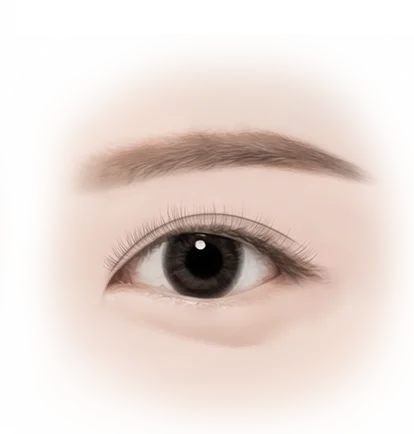 Close up of an eye; 345 Plastic Surgery where natural results are visible.