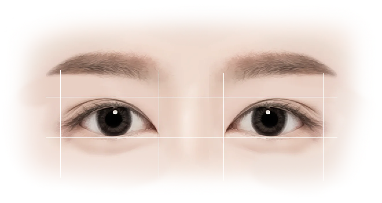 Eyes with grid lines for 345 plastic surgery where natural.