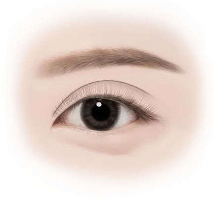 Asian eye close up for 345 plastic surgery where natural look is the goal