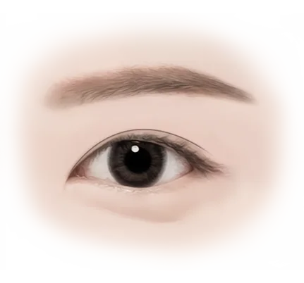 Eye close-up. 345 Plastic Surgery where natural for natural looking results.