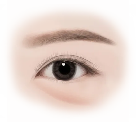 Close-up of an eye showing natural results from 345 plastic surgery.