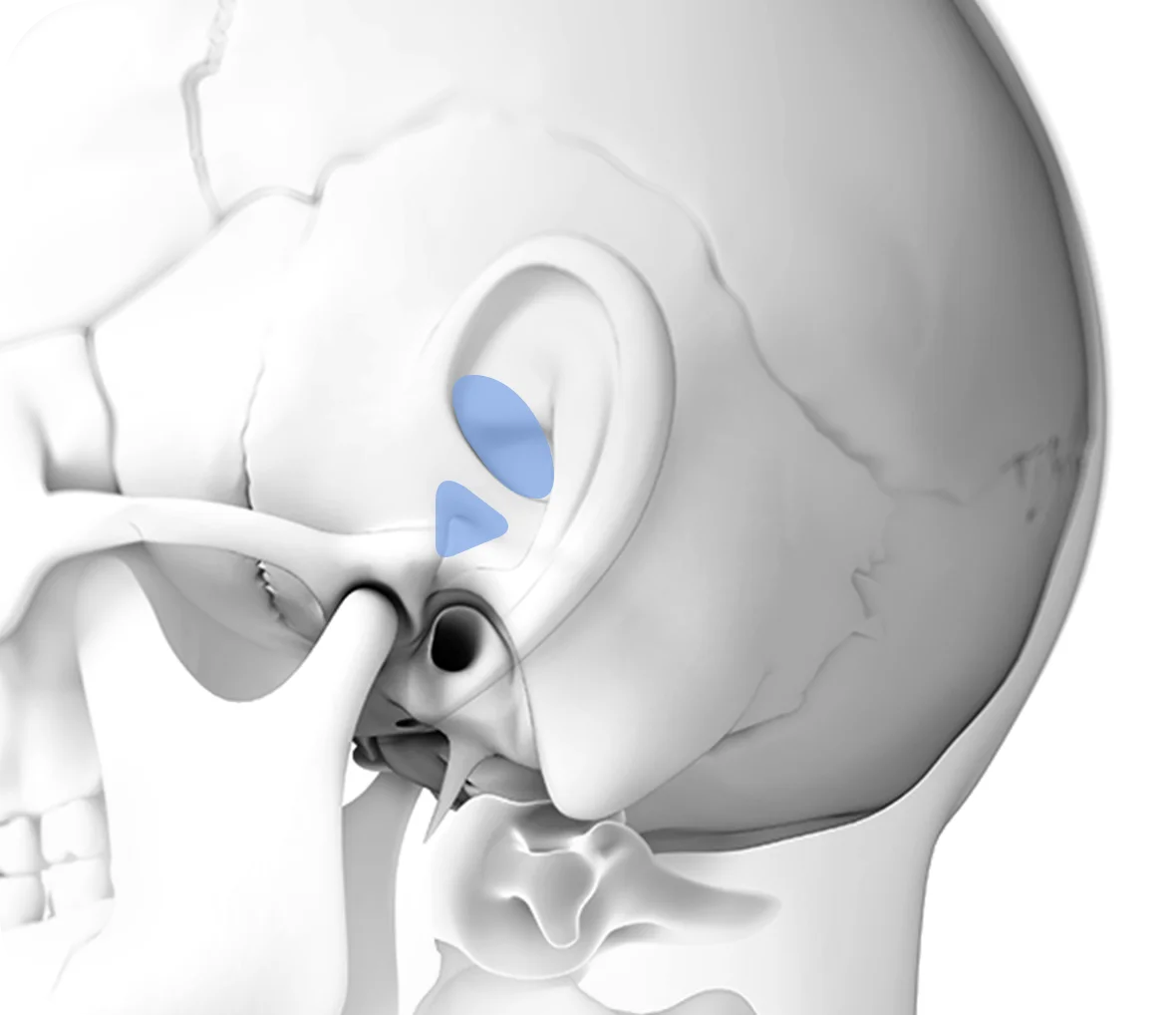 345 Plastic Surgery diagram of the ear and skull showing where natural plastic surgery can be performed
