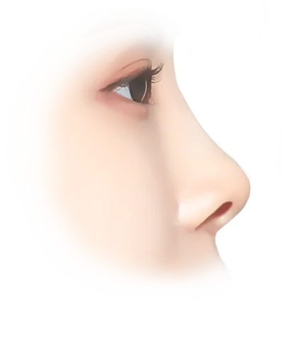 345 Plastic Surgery nose profile for natural looking cosmetic surgery results